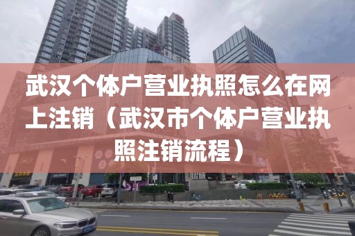 武汉个体户营业执照怎么在网上注销（武汉市个体户营业执照注销流程）