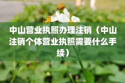 中山营业执照办理注销（中山注销个体营业执照需要什么手续）