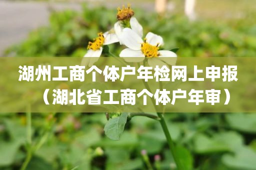 湖州工商个体户年检网上申报（湖北省工商个体户年审）
