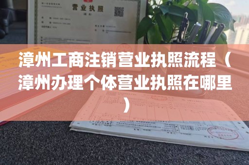 漳州工商注销营业执照流程（漳州办理个体营业执照在哪里）