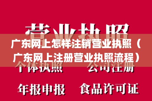 广东网上怎样注销营业执照（广东网上注册营业执照流程）