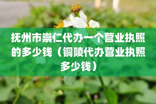 抚州市崇仁代办一个营业执照的多少钱（铜陵代办营业执照多少钱）