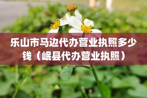乐山市马边代办营业执照多少钱（岷县代办营业执照）