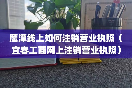鹰潭线上如何注销营业执照（宜春工商网上注销营业执照）