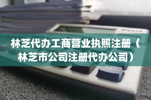林芝代办工商营业执照注册（林芝市公司注册代办公司）