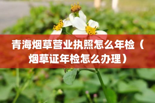 青海烟草营业执照怎么年检（烟草证年检怎么办理）