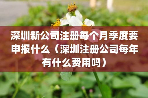 深圳新公司注册每个月季度要申报什么（深圳注册公司每年有什么费用吗）