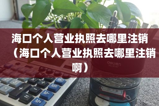 海口个人营业执照去哪里注销(海口个人营业执照去哪里注销啊)
