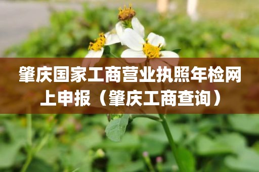 肇庆国家工商营业执照年检网上申报（肇庆工商查询）
