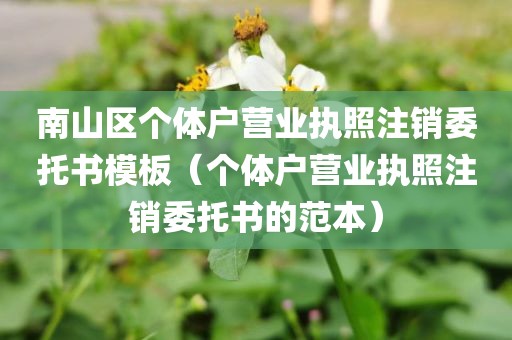 南山区个体户营业执照注销委托书模板（个体户营业执照注销委托书的范本）
