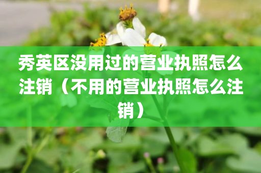 秀英区没用过的营业执照怎么注销（不用的营业执照怎么注销）