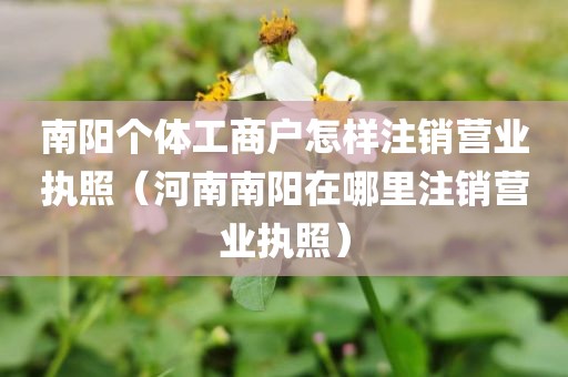 南阳个体工商户怎样注销营业执照(河南南阳在哪里注销营业执照)