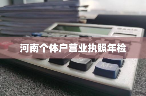 河南个体户营业执照年检