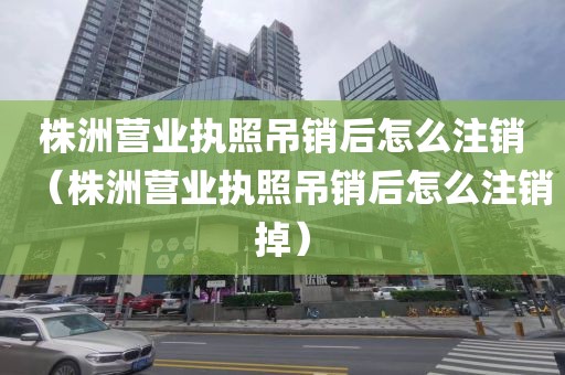 株洲营业执照吊销后怎么注销（株洲营业执照吊销后怎么注销掉）