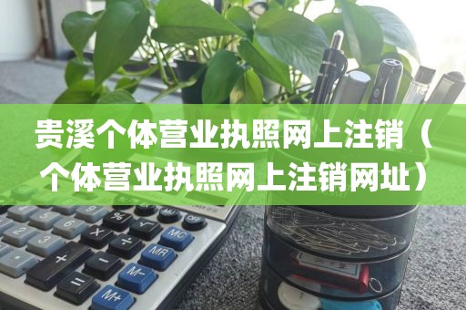 贵溪个体营业执照网上注销（个体营业执照网上注销网址）