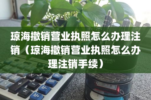 琼海撤销营业执照怎么办理注销（琼海撤销营业执照怎么办理注销手续）