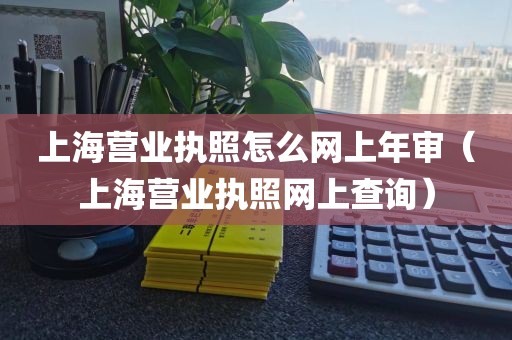 上海营业执照怎么网上年审（上海营业执照网上查询）