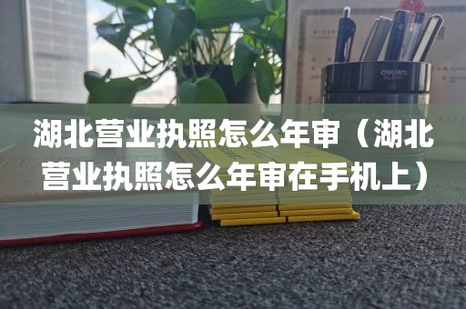 湖北营业执照怎么年审（湖北营业执照怎么年审在手机上）