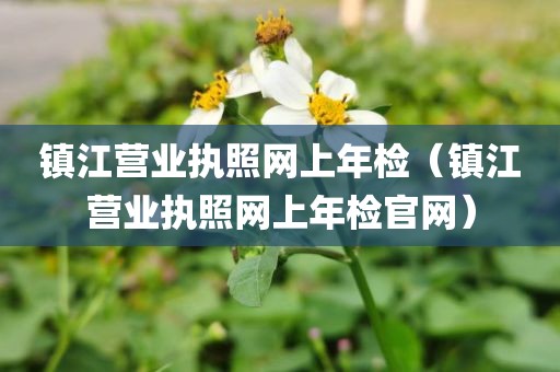镇江营业执照网上年检（镇江营业执照网上年检官网）