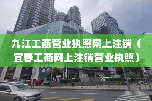 九江工商营业执照网上注销（宜春工商网上注销营业执照）