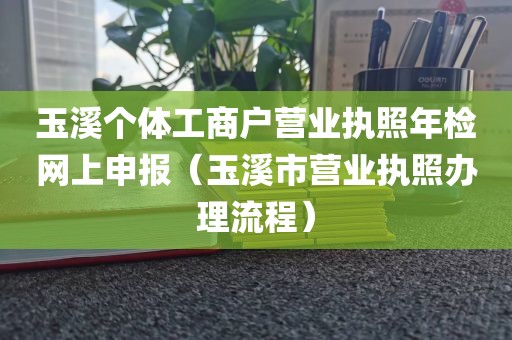 玉溪个体工商户营业执照年检网上申报（玉溪市营业执照办理流程）