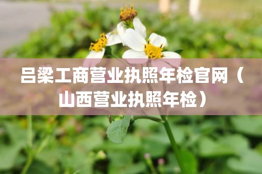 吕梁工商营业执照年检官网（山西营业执照年检）