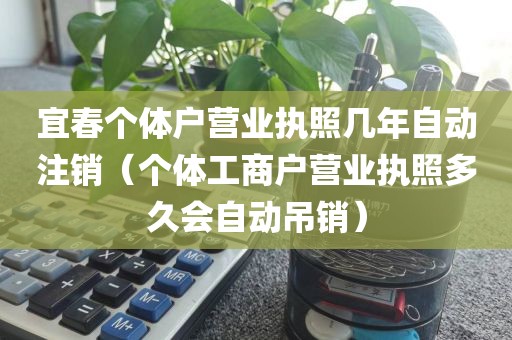 宜春个体户营业执照几年自动注销（个体工商户营业执照多久会自动吊销）