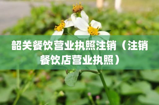 韶关餐饮营业执照注销（注销餐饮店营业执照）