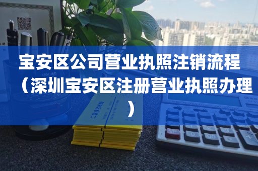 宝安区公司营业执照注销流程(深圳宝安区注册营业执照办理)