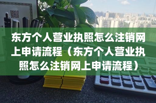 东方个人营业执照怎么注销网上申请流程（东方个人营业执照怎么注销网上申请流程）