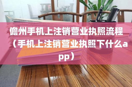 儋州手机上注销营业执照流程（手机上注销营业执照下什么app）