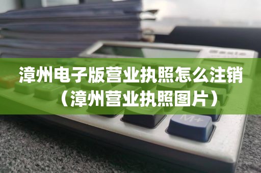 漳州电子版营业执照怎么注销（漳州营业执照图片）