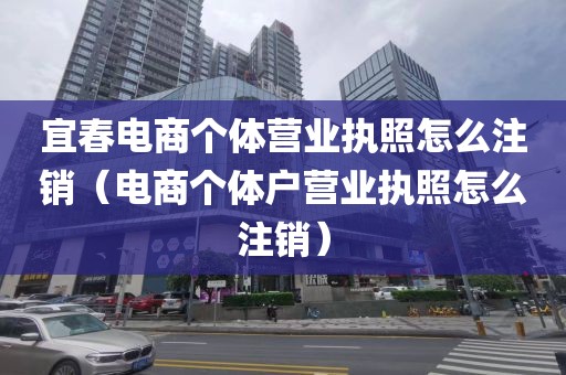 宜春电商个体营业执照怎么注销(电商个体户营业执照怎么注销)