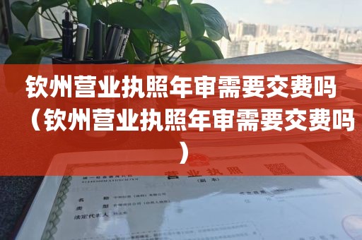 钦州营业执照年审需要交费吗(钦州营业执照年审需要交费吗)