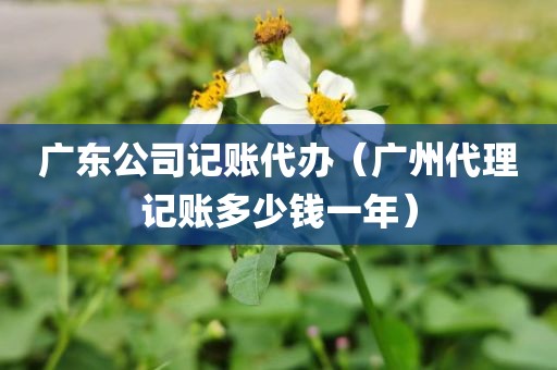 广东公司记账代办（广州代理记账多少钱一年）