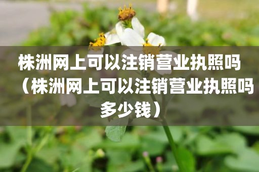 株洲网上可以注销营业执照吗（株洲网上可以注销营业执照吗多少钱）