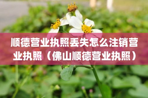 顺德营业执照丢失怎么注销营业执照（佛山顺德营业执照）