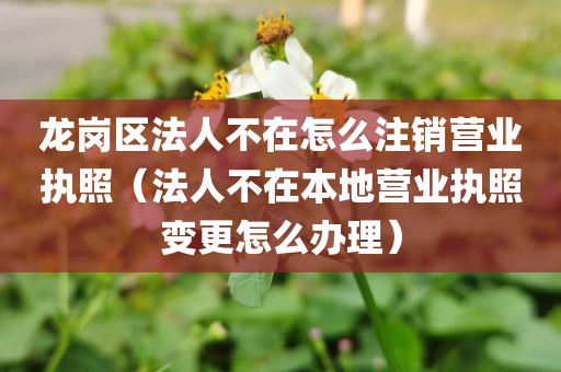 龙岗区法人不在怎么注销营业执照（法人不在本地营业执照变更怎么办理）