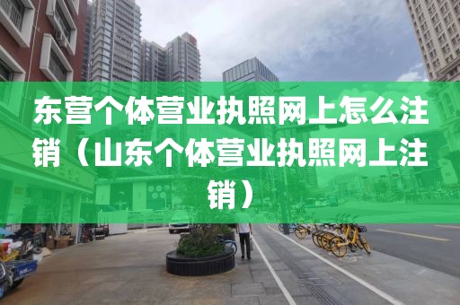 东营个体营业执照网上怎么注销（山东个体营业执照网上注销）
