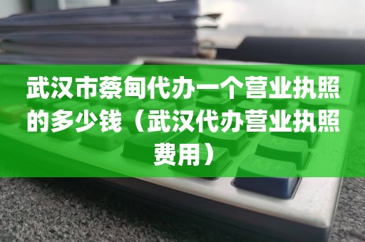 武汉市蔡甸代办一个营业执照的多少钱(武汉代办营业执照费用)