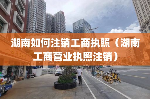 湖南如何注销工商执照(湖南工商营业执照注销)