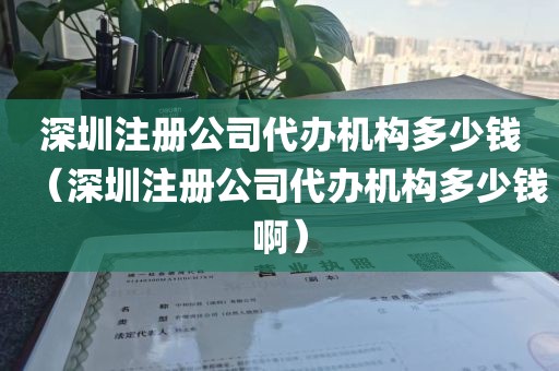 深圳注册公司代办机构多少钱（深圳注册公司代办机构多少钱啊）