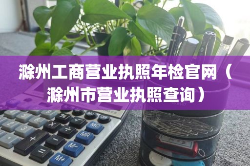 滁州工商营业执照年检官网（滁州市营业执照查询）