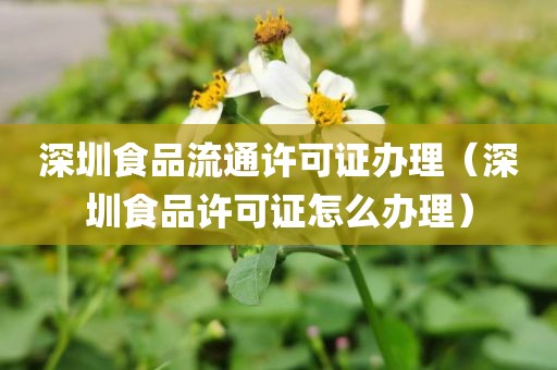 深圳食品流通许可证办理(深圳食品许可证怎么办理)