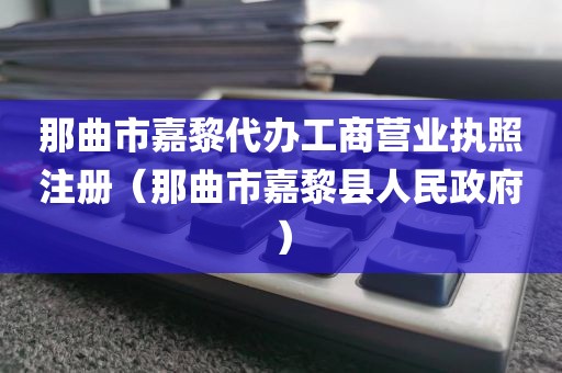 那曲市嘉黎代办工商营业执照注册（那曲市嘉黎县人民政府）