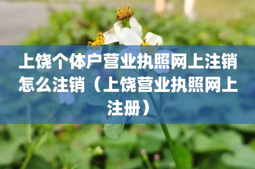 上饶个体户营业执照网上注销怎么注销（上饶营业执照网上注册）