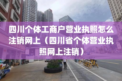 四川个体工商户营业执照怎么注销网上（四川省个体营业执照网上注销）