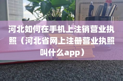 河北如何在手机上注销营业执照(河北省网上注册营业执照叫什么app)