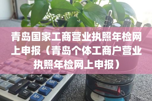 青岛国家工商营业执照年检网上申报（青岛个体工商户营业执照年检网上申报）