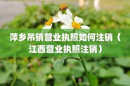 萍乡吊销营业执照如何注销（江西营业执照注销）
